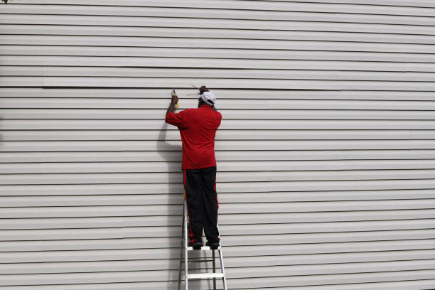 Best Siding Painting and Refinishing  in Clayton, IN